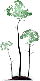 tree.gif image by bsrnld09
